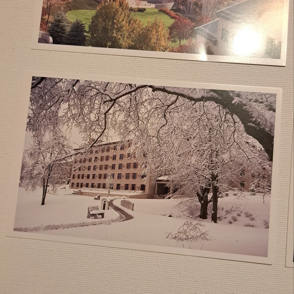 4/$15 🌻 Set Of 4 Vintage Postcards Patterson & Wallkill New York Bethel